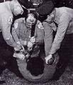 TN_SheriffJimClarkBeatsSelmaProtestorIntoArrest650126.jpg