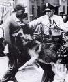 TN_Birmingham630303-PoliceDogAttack.jpg 4.5K