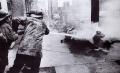 TN_Birmingham630306-FireHosing.jpg 2.9K