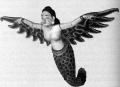 TN_Balinese_Angel_Mermaid_jk.jpg 2.8K